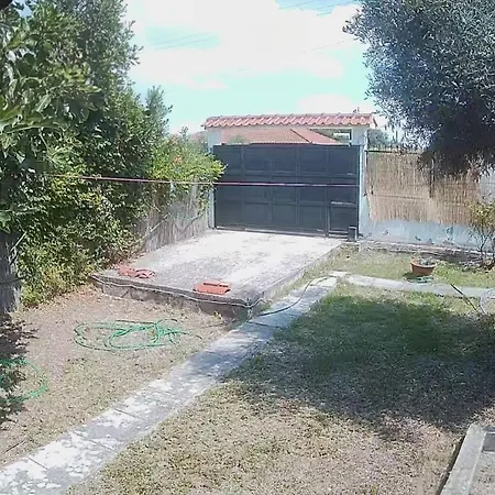 The House